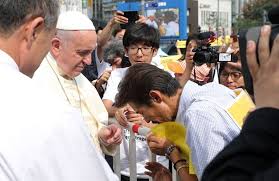 sewol
